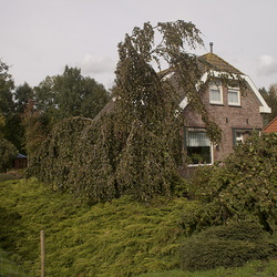 De Veenhoop [NL,FR,SML]