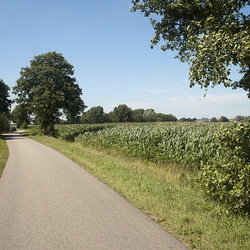 Broek-Zuid [NL,FR,DFSM]