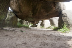 Darp 2009