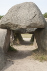 bij Darp 2009