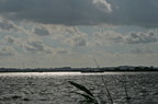bij Terhorne 2007