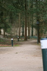 Heijen 2011