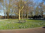 Joure 2011